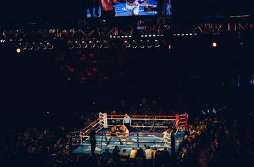 Crowd Watching a Boxing Match